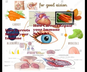 How Carrots Repair your Immune System?