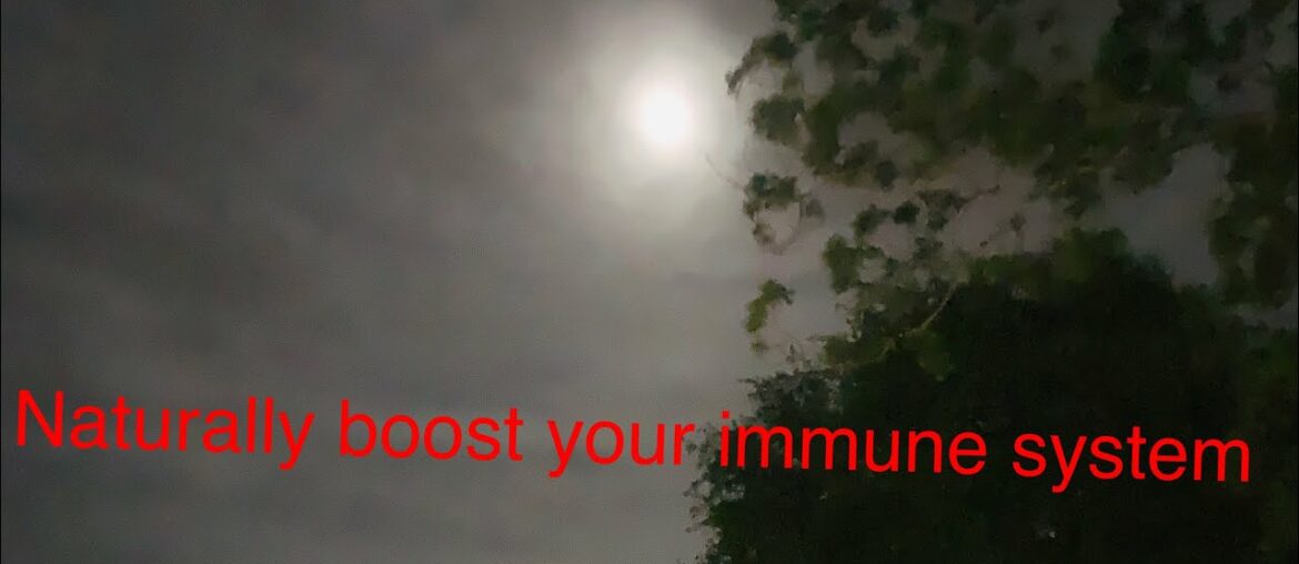 Boost your immune system all natural herbal blend