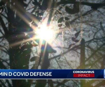 Could Vitamin D be defense against COVID-19?