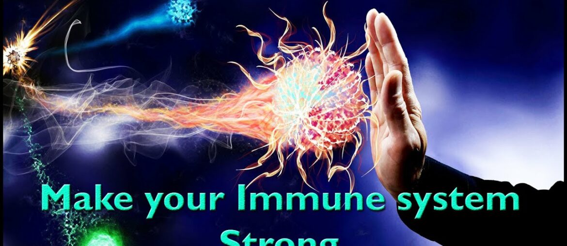How to increase your immune system - Top 15 foods to increase immune system