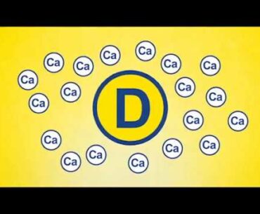 FERN D VITAMINS | FROM THE MAKERS OF FERN C .