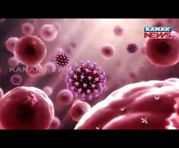 How To Control Coronavirus By Herd Immunity, Take A Look | Kanak News