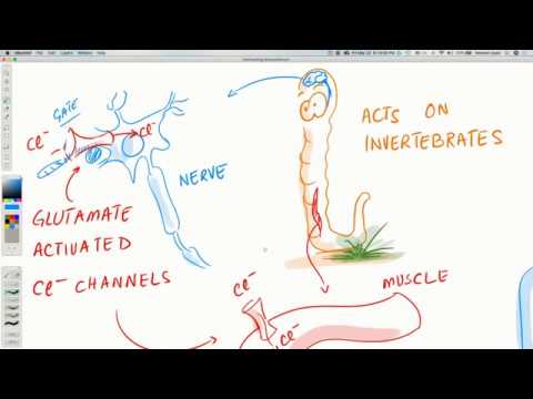 COVID-19 Insights: Bangladeshi Doctors Use A Drug Combo Successfully