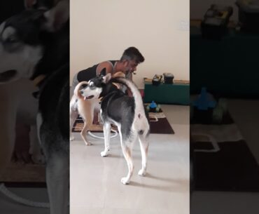 Instant Immunity From Corona Virus. ft. Combai, Shepsky, Saint and Human