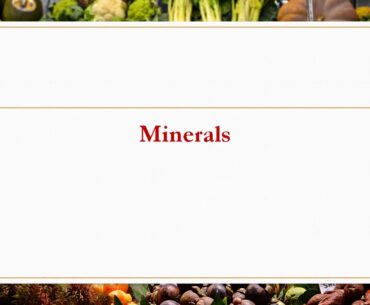 ABFreedom.com. Improving The Immune System with Vitamins and Minerals. Session 1