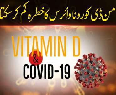 Can Vitamin D reduce the risk of COVID-19? UrduHindi | Ilmogram