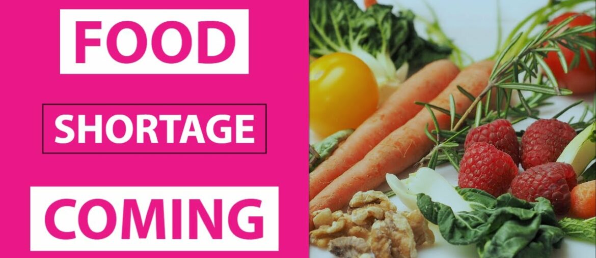 Solutions to WORLD Food shortage COMING - 2020