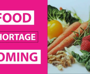 Solutions to WORLD Food shortage COMING - 2020