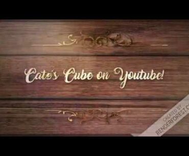 Vitamins for Vegetarians (Dollar Tree)