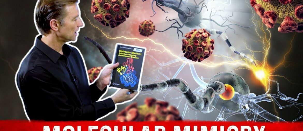 Autoimmune Conditions May Be Viral: Molecular Mimicry