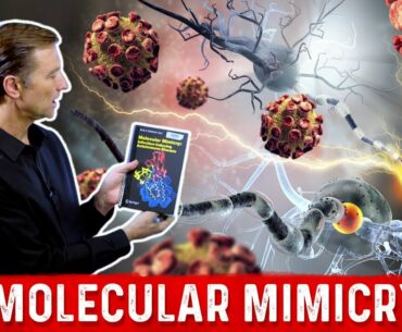 Autoimmune Conditions May Be Viral: Molecular Mimicry