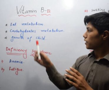 Vitamin B 12 | Function of Vitamin  B-12 | Deficiency Symptoms | Sources | Nutrition