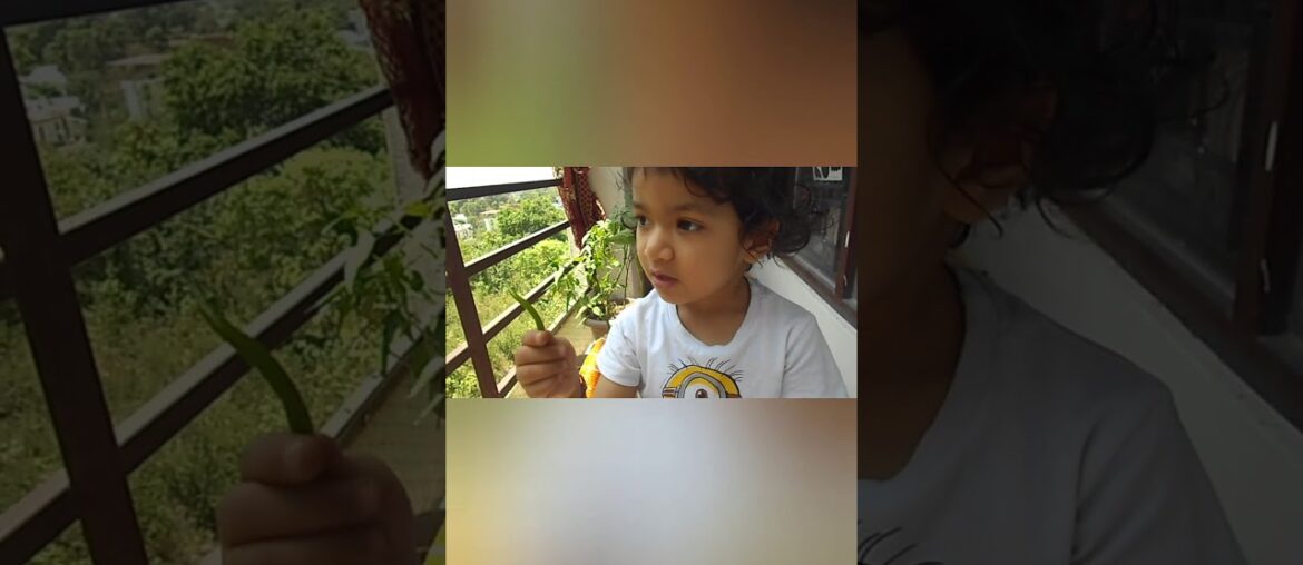 Plant Easy Immunity Booster