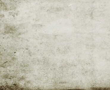 Michelle Collins BA,C,Ir,CNP . Wellness through your eyes(Iridology and Nutrition)