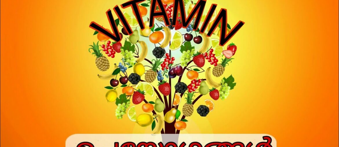 Vitamins|importants of vitamin in our body