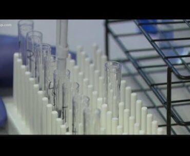 New study suggests COVID-19 immunity might only last 6 months, so how safe are you?