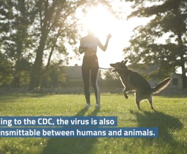 CDC Now Says COVID-19 ‘Does Not Spread Easily’ via Contaminated Surfaces