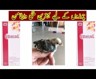 VIDAYLINM Benifits & use in chicken chicks [Best Multi vitamin for Birds]