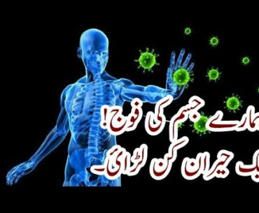 Human immune system explained || in urdu-hindi || Corona Virus