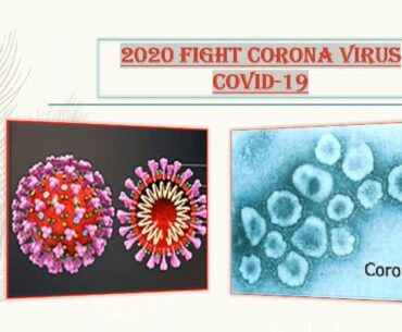 2020 FIGHT CORONA VIRUS COVID-19| STRONG IMMUNITY|