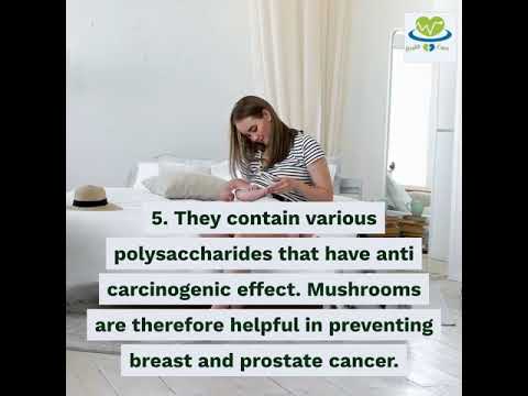 mushroom  nutritional value