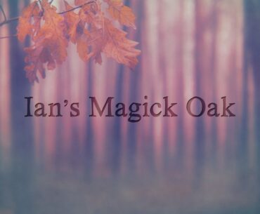 Health Advice and Channel Update