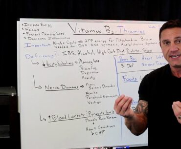 The Benefits of Vitamin B1: Thiamine