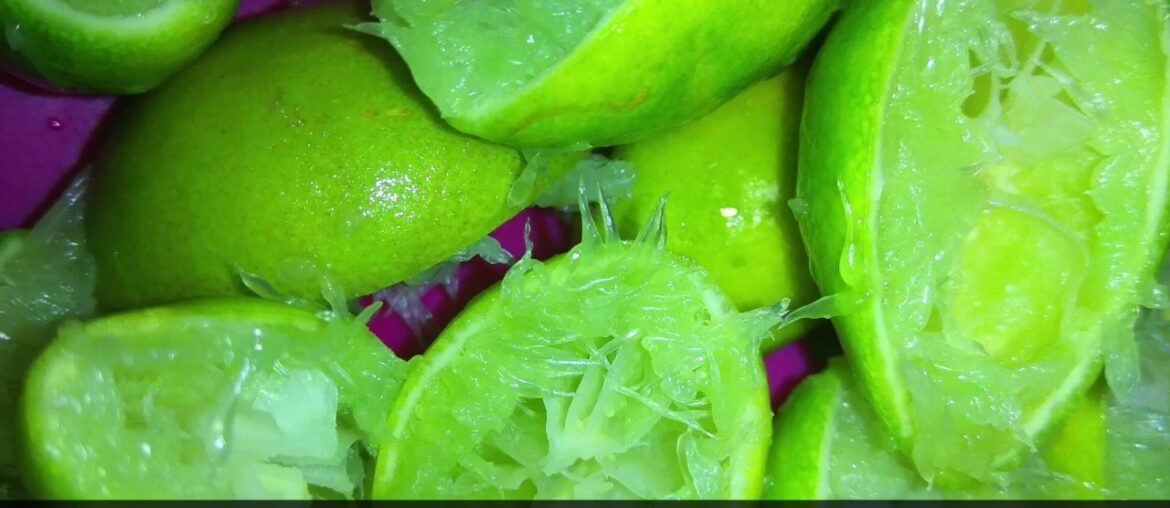 How to make Sarbath | Ginger Lime | COVID-19 Immunity Drink | Weight loss drink | Lime Pickle