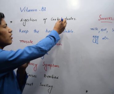 Vitamin B1 | Function | Deficiency Symptoms | Sources of Vitamin B1 | Nutrition