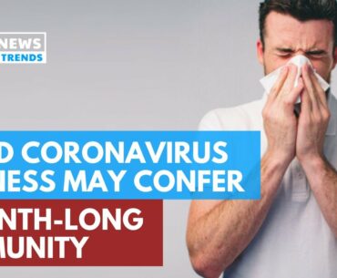 Mild Coronavirus Illness May Confer Month-Long Immunity