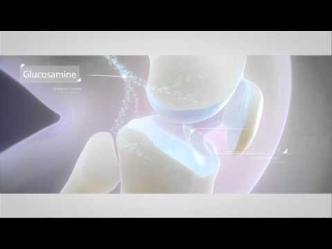 Nutrilite Joint Health Supplement for Flexibility and Mobility | Amway