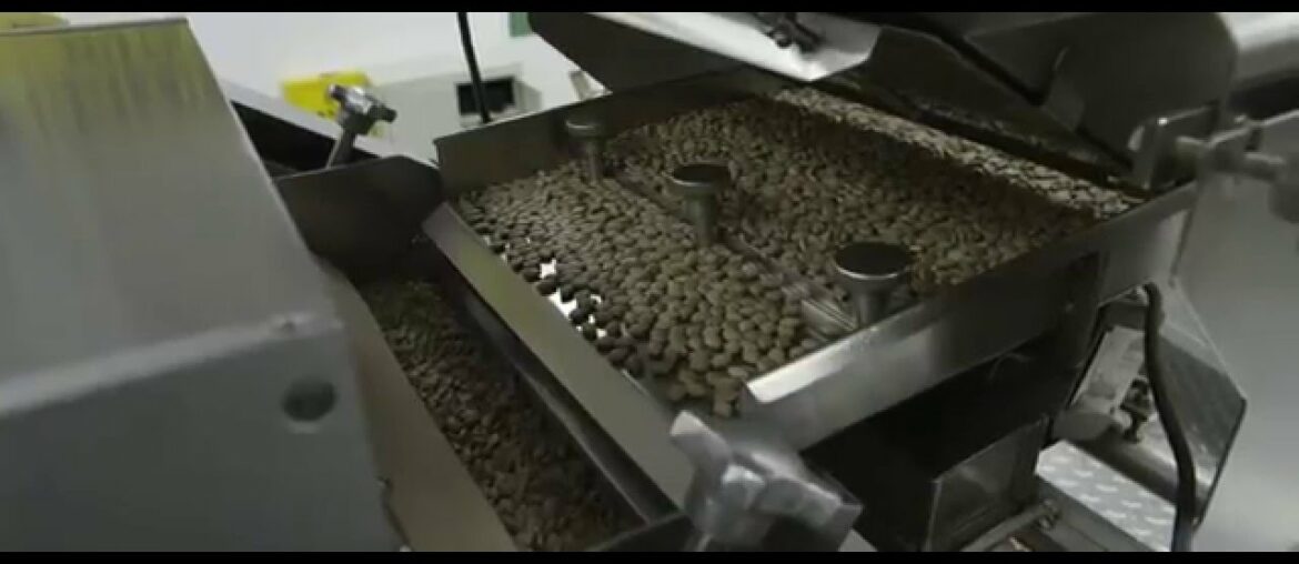 Nutrilite Double X: Filling the nutritional gap