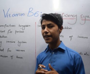 Vitamin B6 | Function | Deficiency symptoms | Sources of vitamin B6 | Nutrition