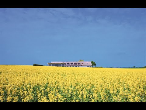 Expert Talks: Natural Balance Shake | Oriflame Cosmetics