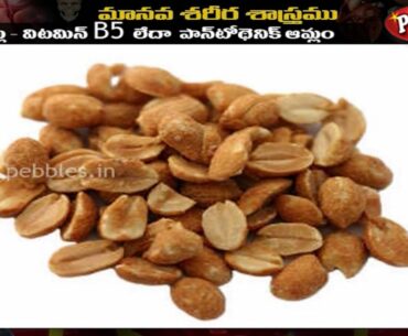 Human Body  |  Vitamins | Telugu