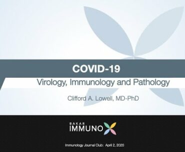 COVID-19: Virology, Immunology and Pathology