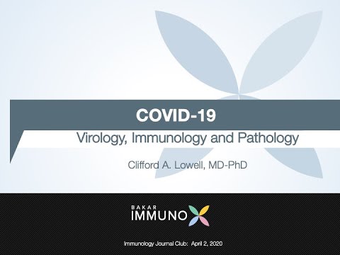 COVID-19: Virology, Immunology and Pathology