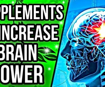Top 5 Supplements for Increasing Brain Power