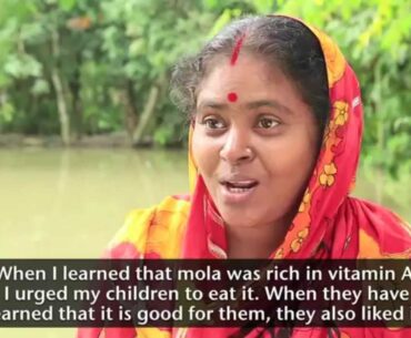 Small fish and nutrition in Bangladesh