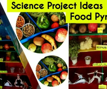 School Project Food Pyramid , Health and nutrition , Healthy Eating , Project on nutrition Gujarati