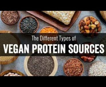 Vegan Protein Sources | vegetarian | Food | Diet |Guri