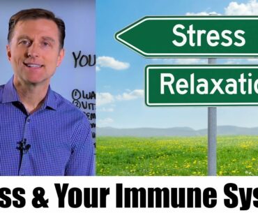Stress & Your Immune System