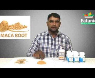Maca Root Benefits in Urdu, Original Organic Maca Root Powder Buy Online in Pakistan - Eatanic