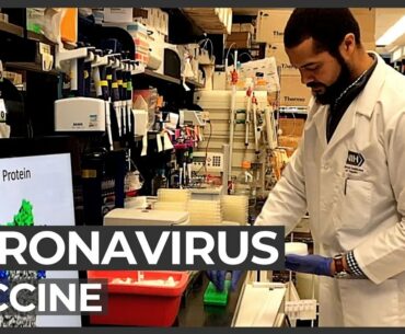 Coronavirus: Scientists in the US race to find a vaccine