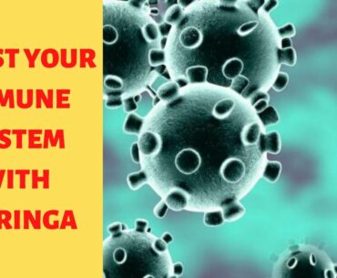 Does Moringa Protect You From the Deadly Corona Virus?