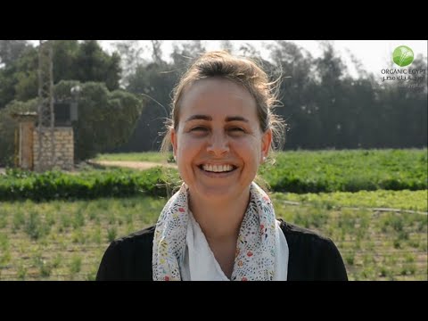 Key messages to improve our immunity against COVID 19 Virus