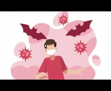 Bat's Super Immunity may explain How Bats Carry Corona virus - Video Lecture - Nerdy Scientists