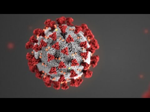 Vitamin C in a Pandemic