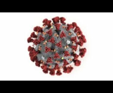 Dr Afrika - African Americans, in GREATEST DANGER of Coronavirus.