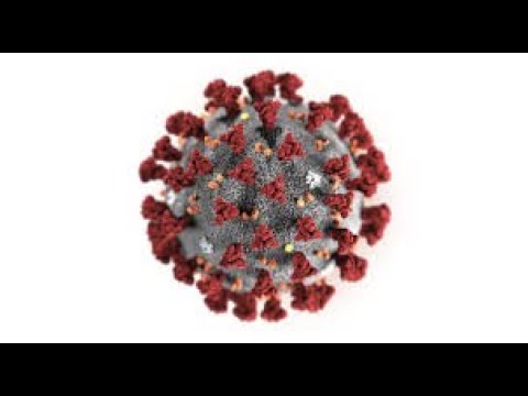 Dr Afrika - African Americans, in GREATEST DANGER of Coronavirus.